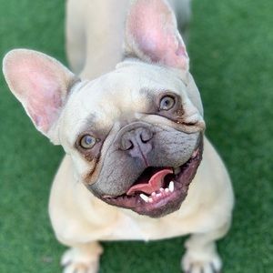 Meet your Posher, Barbara